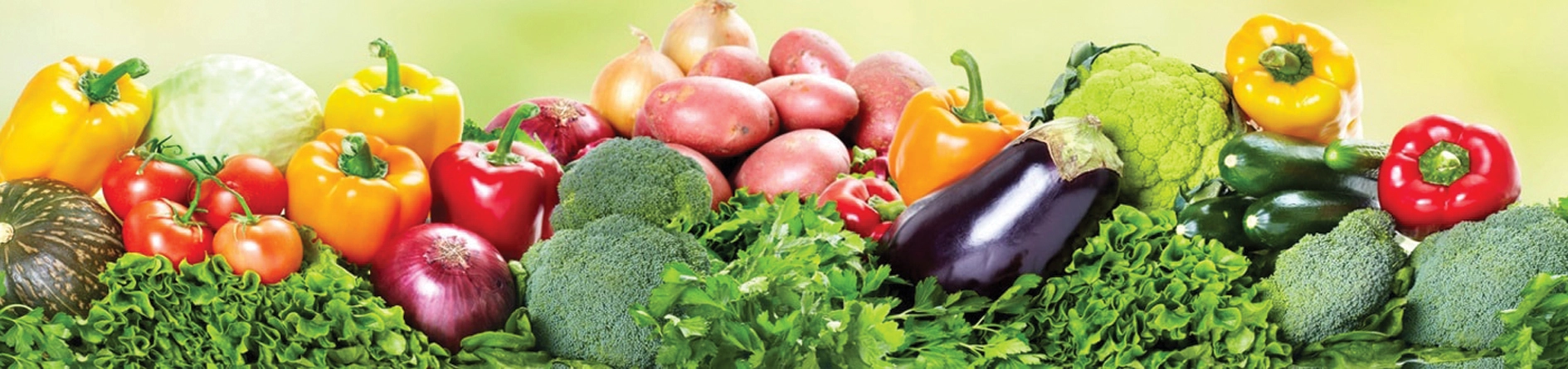 Rau sạch Toản Xuân farm