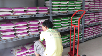 Tìm thị trường cho hạt gạo