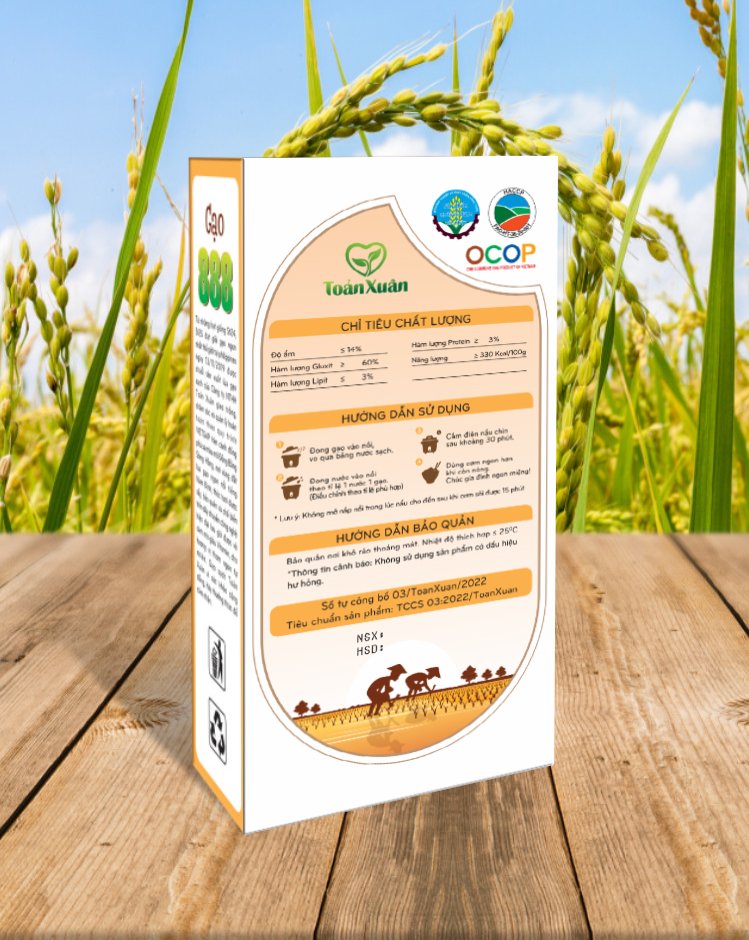 GẠO SẠCH CHẤT LƯỢNG CAO 888