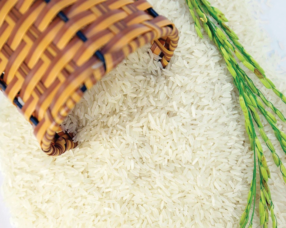 Bài phóng sự về quy trình sản xuất Gạo Toản Xuân.