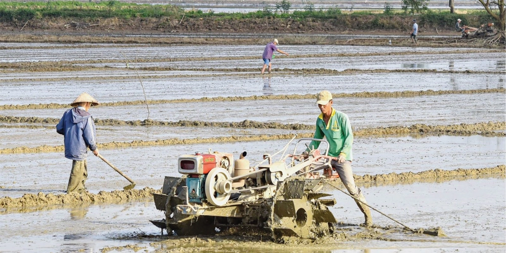 LÀM ĐẤT VÀ GIEO CẤY